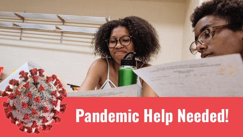 Pandemic Help Needed!